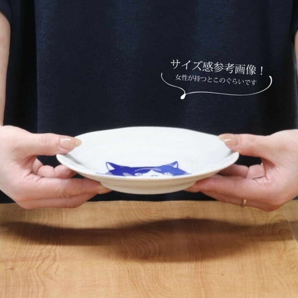 陶瓷盤 貓咪圓盤 日本美濃燒 貓奴必收 喵~SHICHITA 16cm 圓盤  點心盤 水果盤  甜點盤 日本進口-細節圖7