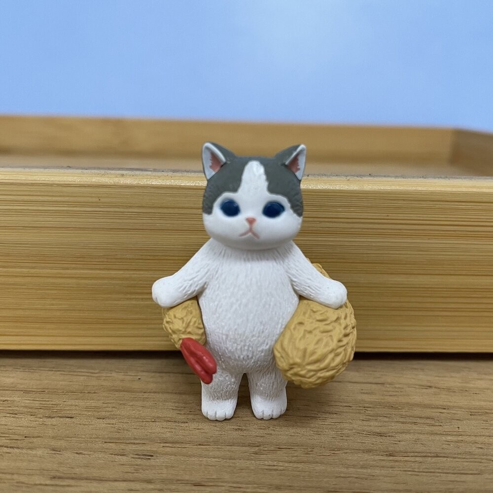 炸蝦泳圈灰白貓