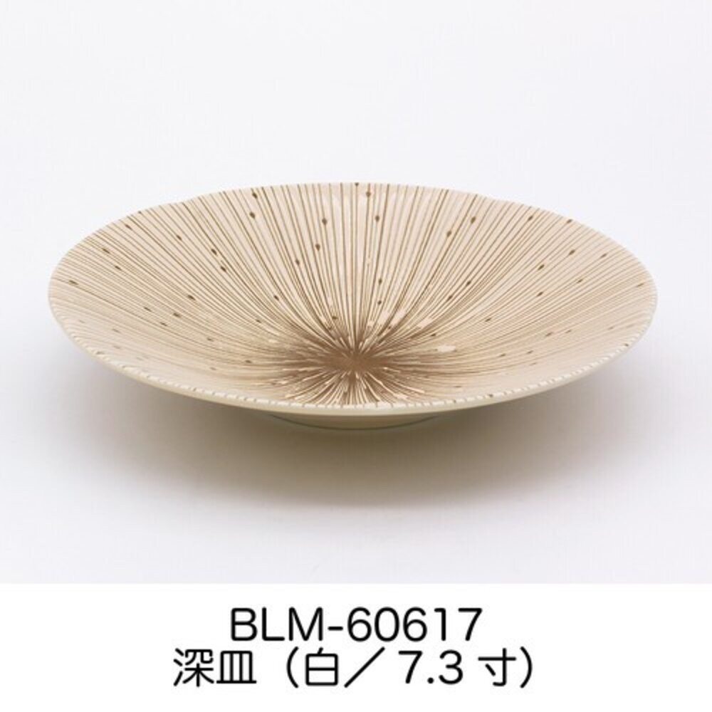 日本製 美濃燒 陶瓷餐盤 千段十草 陶瓷盤 | 碗盤 深盤 餐盤 菜盤 盤子 陶瓷盤子 沙拉盤-細節圖7