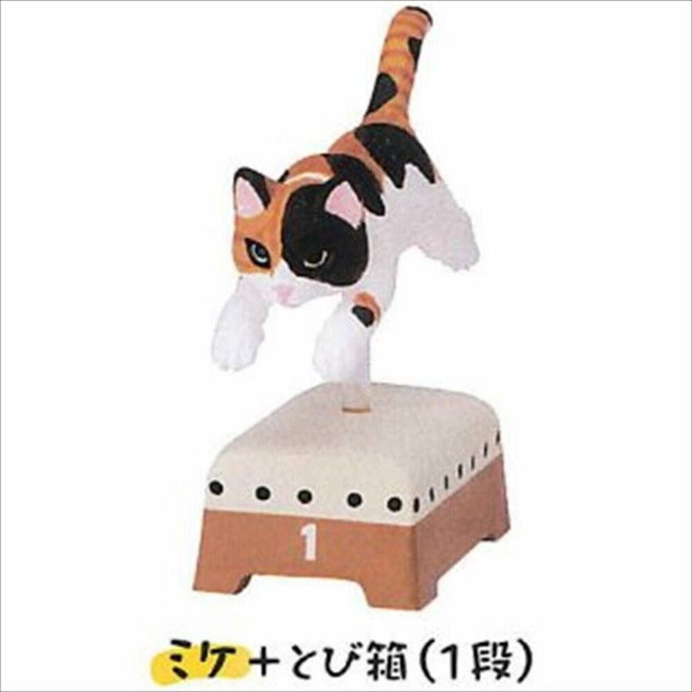 三花貓-跳箱(1段)