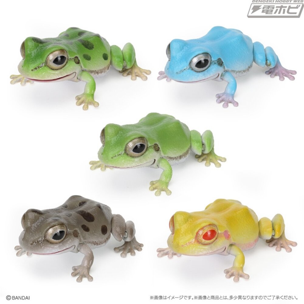 日本萬代 生物大圖鑑 雨蛙 變色龍 | 樹蛙 日本青蛙 自然科學教具 青蛙模型 爬蟲類模型 日本進口-細節圖2