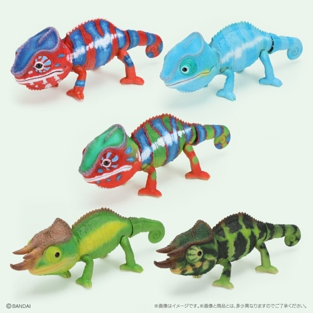 日本萬代 生物大圖鑑 雨蛙 變色龍 | 樹蛙 日本青蛙 自然科學教具 青蛙模型 爬蟲類模型 日本進口-細節圖3