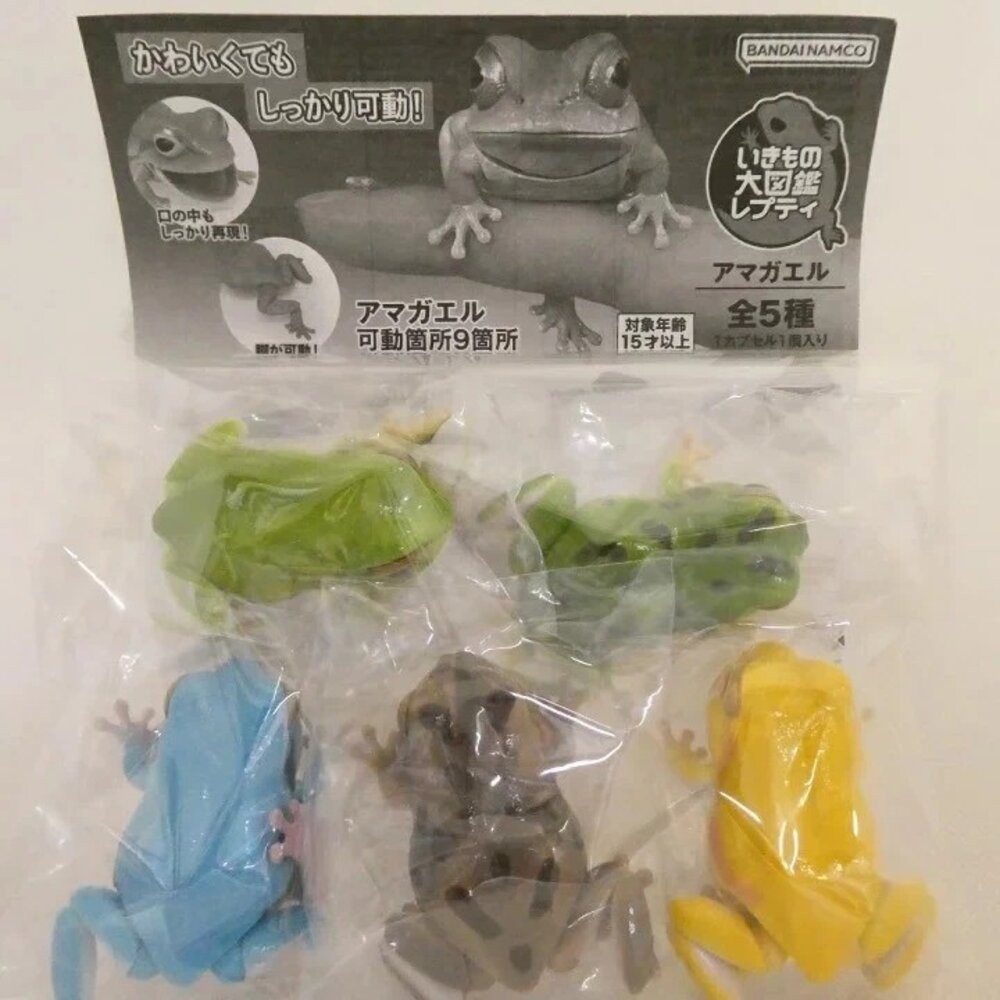 日本萬代 生物大圖鑑 雨蛙 變色龍 | 樹蛙 日本青蛙 自然科學教具 青蛙模型 爬蟲類模型 日本進口-細節圖8