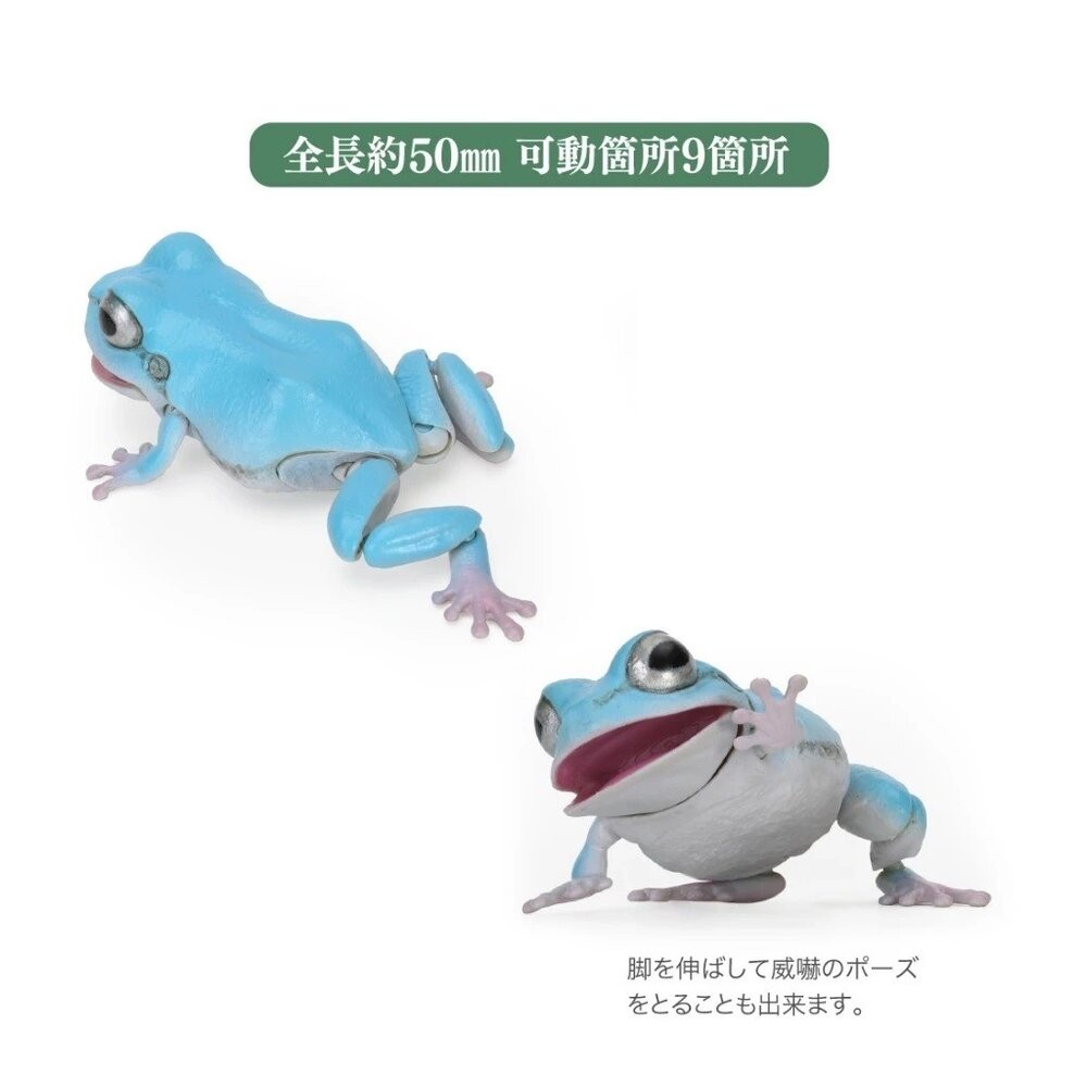 日本萬代 生物大圖鑑 雨蛙 變色龍 | 樹蛙 日本青蛙 自然科學教具 青蛙模型 爬蟲類模型 日本進口-細節圖9