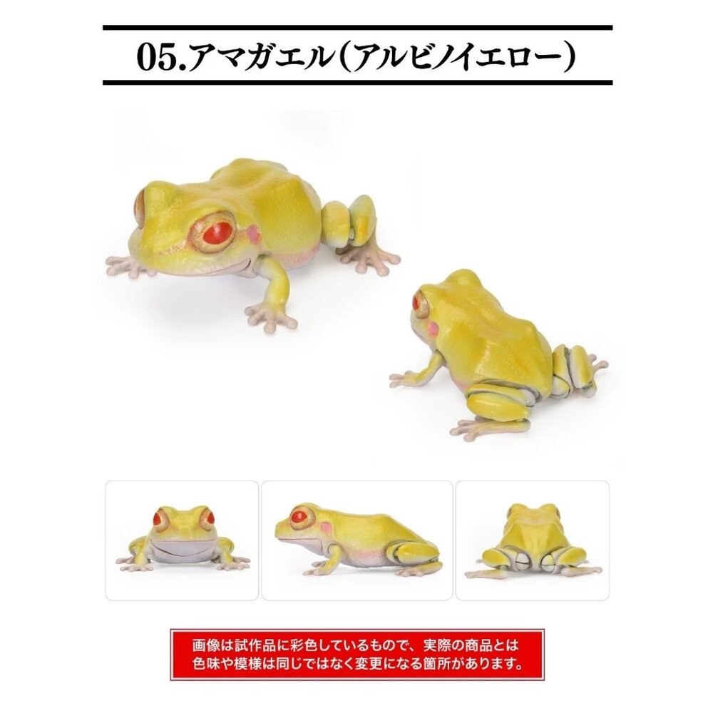 日本萬代 生物大圖鑑 雨蛙 變色龍 | 樹蛙 日本青蛙 自然科學教具 青蛙模型 爬蟲類模型 日本進口-規格圖11