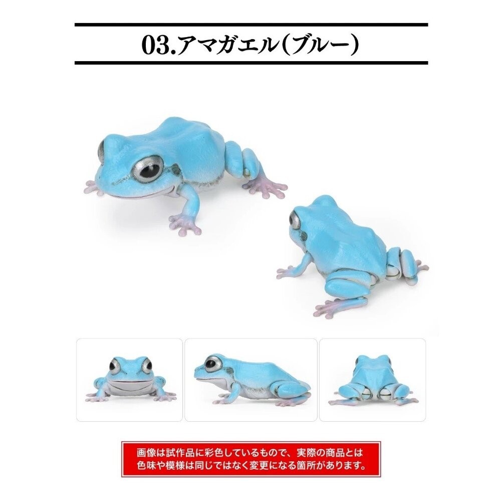 日本萬代 生物大圖鑑 雨蛙 變色龍 | 樹蛙 日本青蛙 自然科學教具 青蛙模型 爬蟲類模型 日本進口-規格圖11