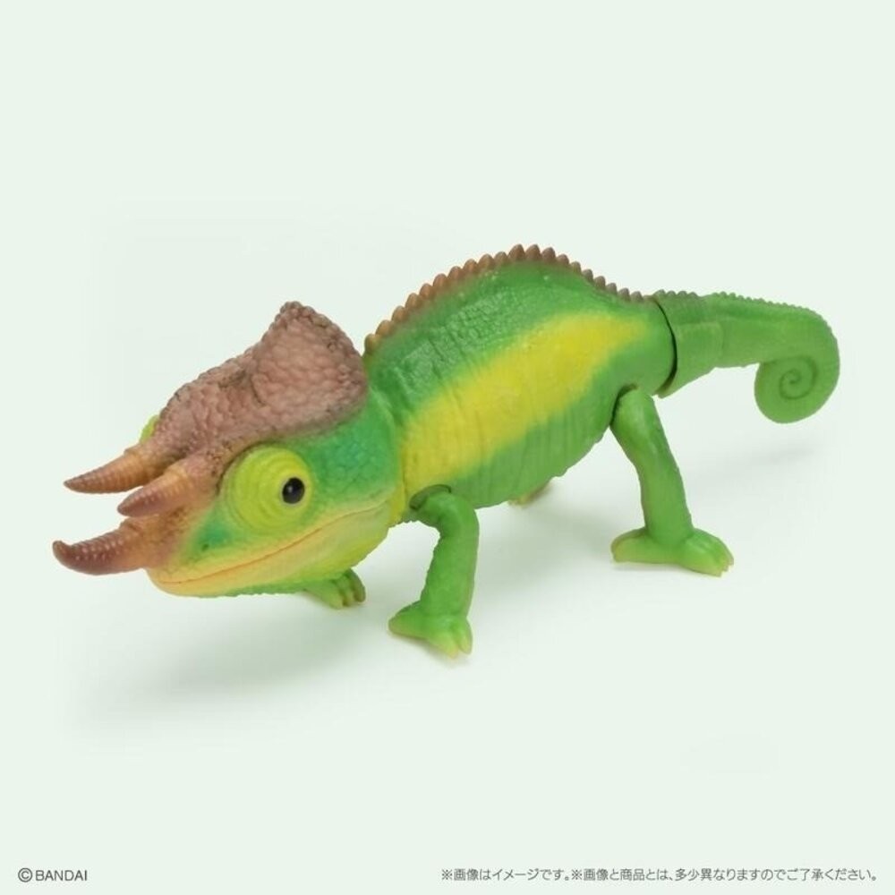 日本萬代 生物大圖鑑 雨蛙 變色龍 | 樹蛙 日本青蛙 自然科學教具 青蛙模型 爬蟲類模型 日本進口-規格圖11