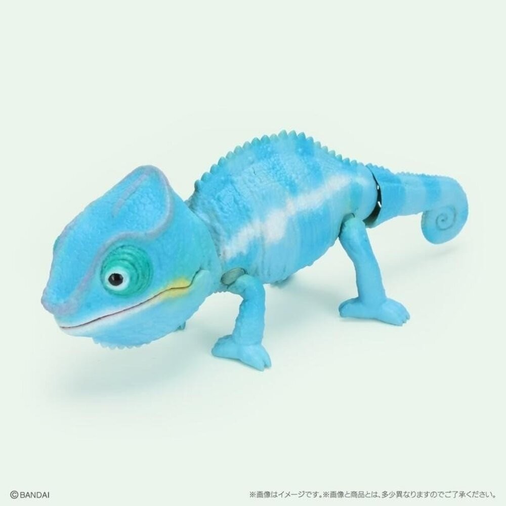 日本萬代 生物大圖鑑 雨蛙 變色龍 | 樹蛙 日本青蛙 自然科學教具 青蛙模型 爬蟲類模型 日本進口-規格圖11