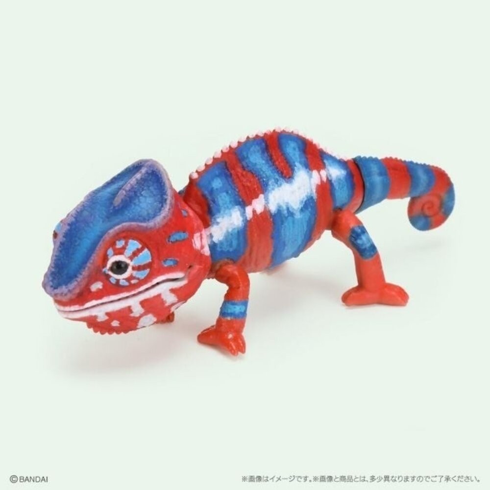 日本萬代 生物大圖鑑 雨蛙 變色龍 | 樹蛙 日本青蛙 自然科學教具 青蛙模型 爬蟲類模型 日本進口-規格圖11