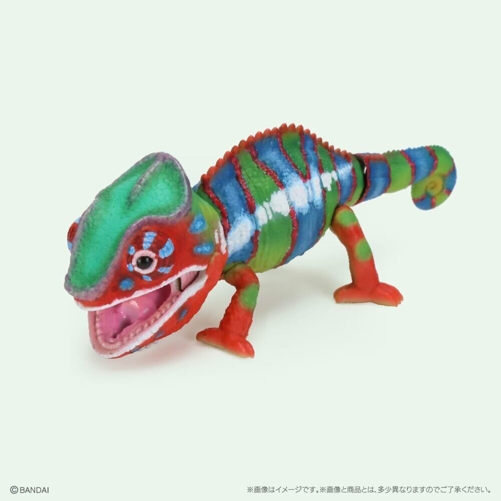 日本萬代 生物大圖鑑 雨蛙 變色龍 | 樹蛙 日本青蛙 自然科學教具 青蛙模型 爬蟲類模型 日本進口-規格圖11