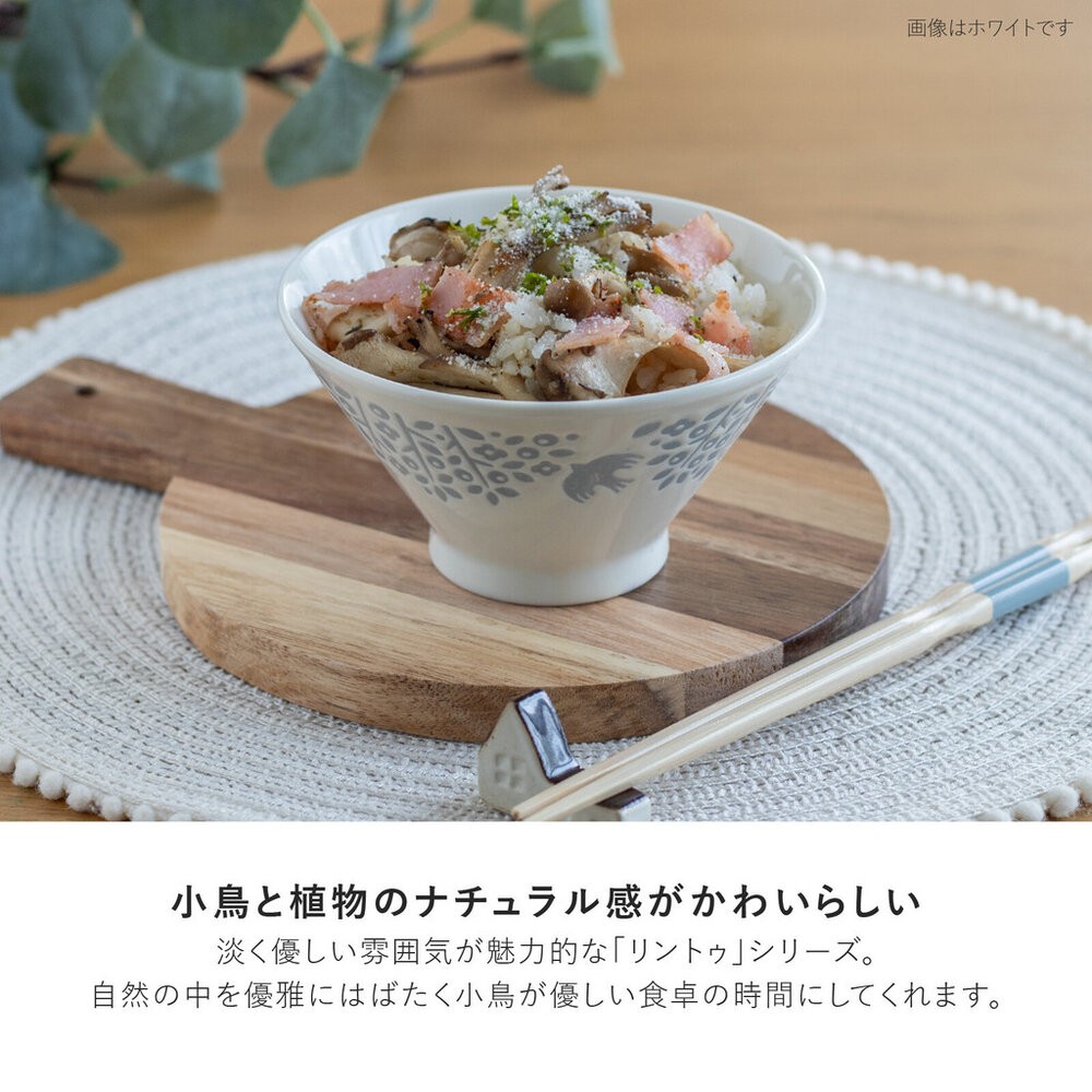 現貨 日本開運餐盤 LINTU 小鳥 植物 圓盤 大盤 拉麵碗 馬克杯 兩色可選 北歐風 手繪花鳥 陶瓷盤 日本進口-細節圖4