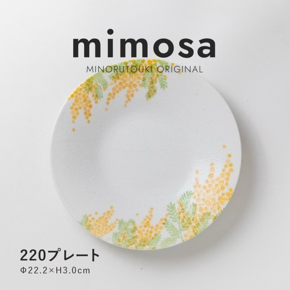 日本製美濃燒 mimosa 手繪含羞草 陶瓷圓盤 飯碗｜湯碗 湯匙 餐盤 多款 日本進口-規格圖9