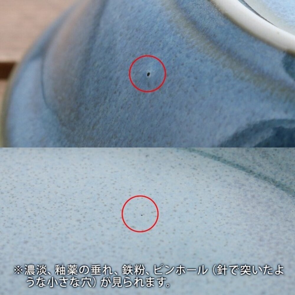 日本美濃燒 條紋十草圓盤 22.5cm 白灰綠三色｜經典十草盤 大餐盤 主菜盤 義大利麵盤 日式餐盤 日本進口-細節圖7