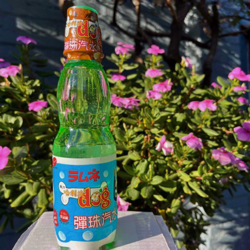 廣力彈珠汽水（Ro純水製造） 250ml/瓶  單瓶下單✨-細節圖3