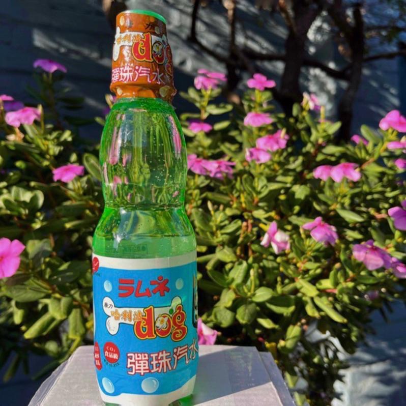 【現貨】廣力 哈利波dog彈珠汽水 （RO純水製造）250ml/瓶  30入/箱 箱出📦-細節圖3