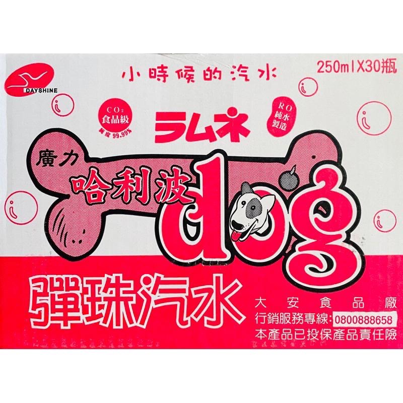 【現貨】廣力 哈利波dog彈珠汽水 （RO純水製造）250ml/瓶  30入/箱 箱出📦-細節圖4