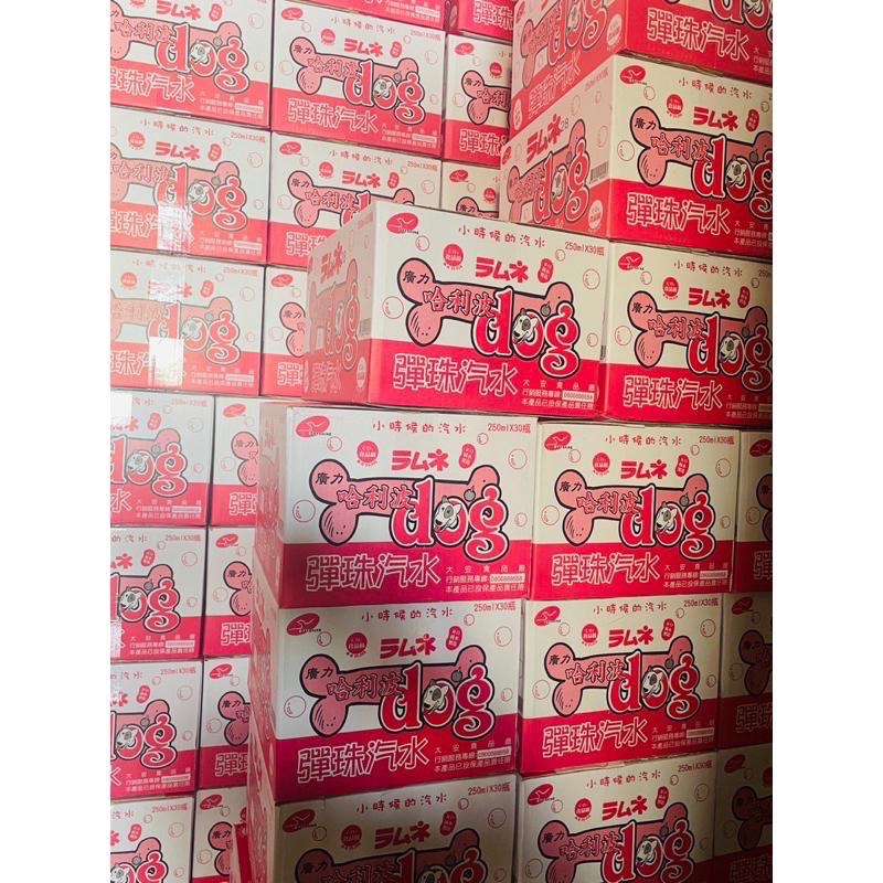 【現貨】廣力 哈利波dog彈珠汽水 （RO純水製造）250ml/瓶  30入/箱 箱出📦-細節圖5