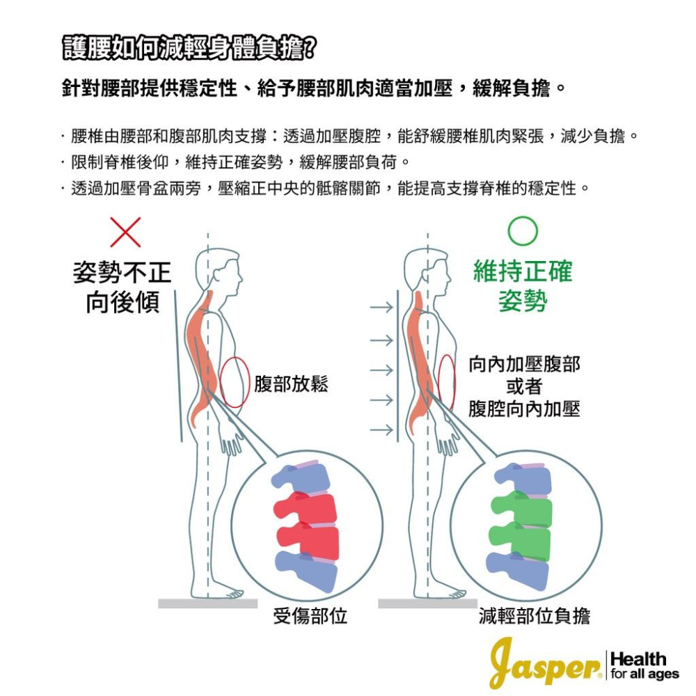 【JASPER大來護具】護腰帶 護腰 工作護腰 9英吋束腰 透氣4支撐條 (米色 膚色) 雙重加壓 護腰護具 JL006-細節圖3