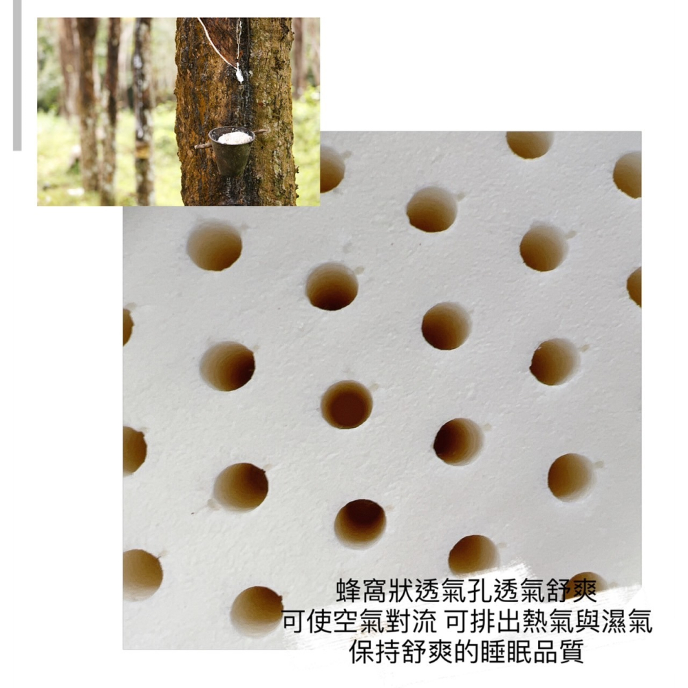 【帕瑪PAMA】100% 5尺乳膠長枕-細節圖2