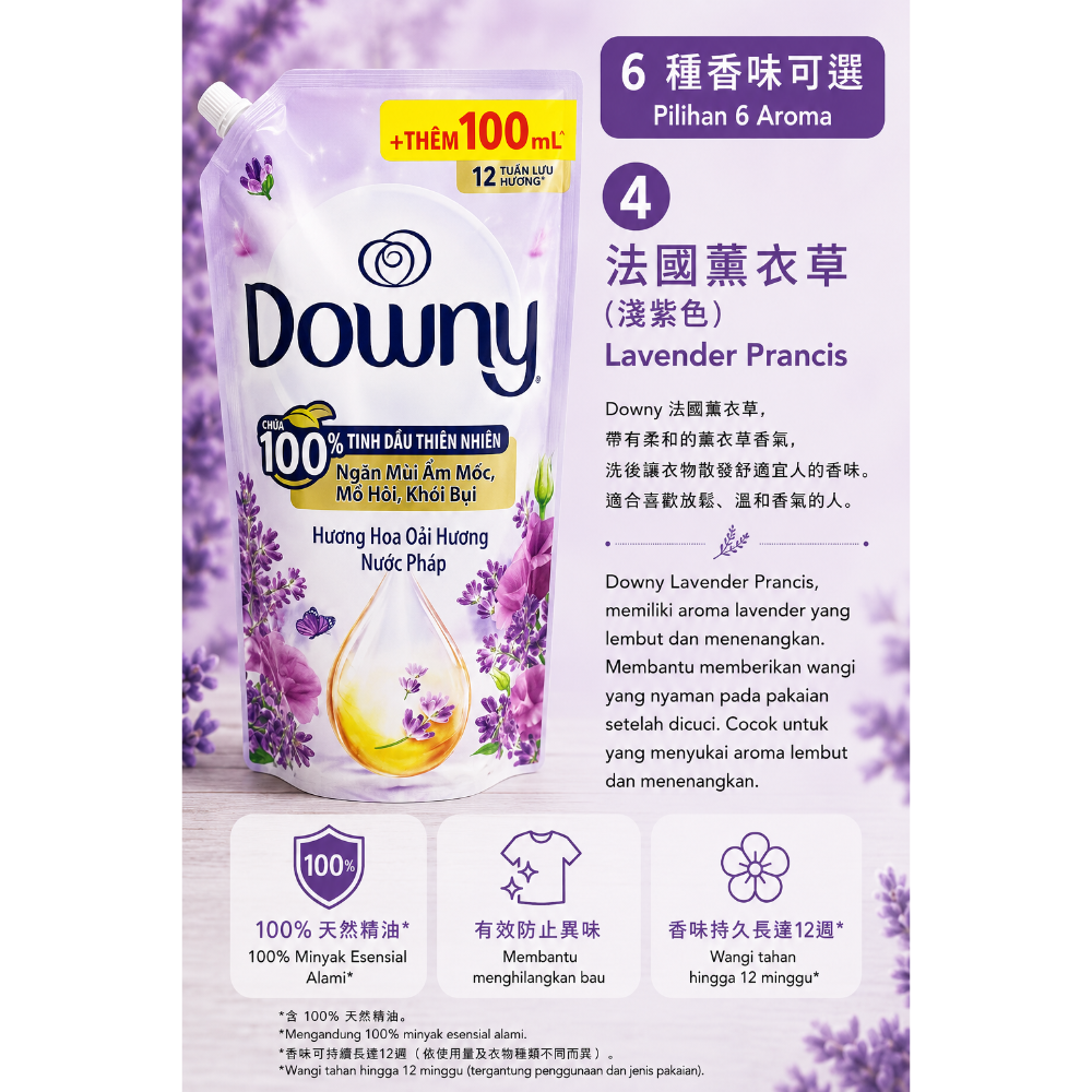 法國薰衣草（淺紫色）