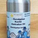 澳洲ND 西澳洲尤加利 Eucalyptus 500g 1kg原裝 西澳洲尤加利 尤加利精油 薰香 按摩🔱菁忻皂作🎶-規格圖1