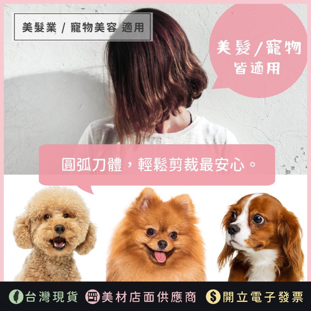 彎剪(雨燕) 美髮剪刀 寵物剪刀 美髮 狗狗剪刀 翹剪 雙尾款 黑寶石 7吋 七寸 美髮剪刀 圓弧剪刀 寵物剪刀-細節圖2