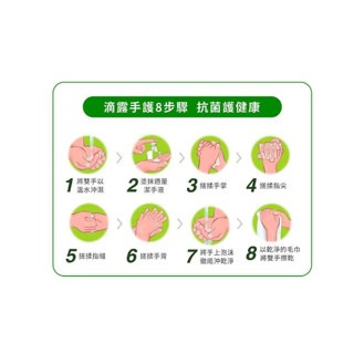 ❰復生藥局❱ 🌟現貨 滴露抗菌潔手液 經典松木 清新柑橘 滋潤倍護 泡沫滋潤蘆薈 250ml-細節圖7