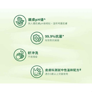 ❰復生藥局❱ 🌟現貨 滴露抗菌潔手液 經典松木 清新柑橘 滋潤倍護 泡沫滋潤蘆薈 250ml-細節圖8