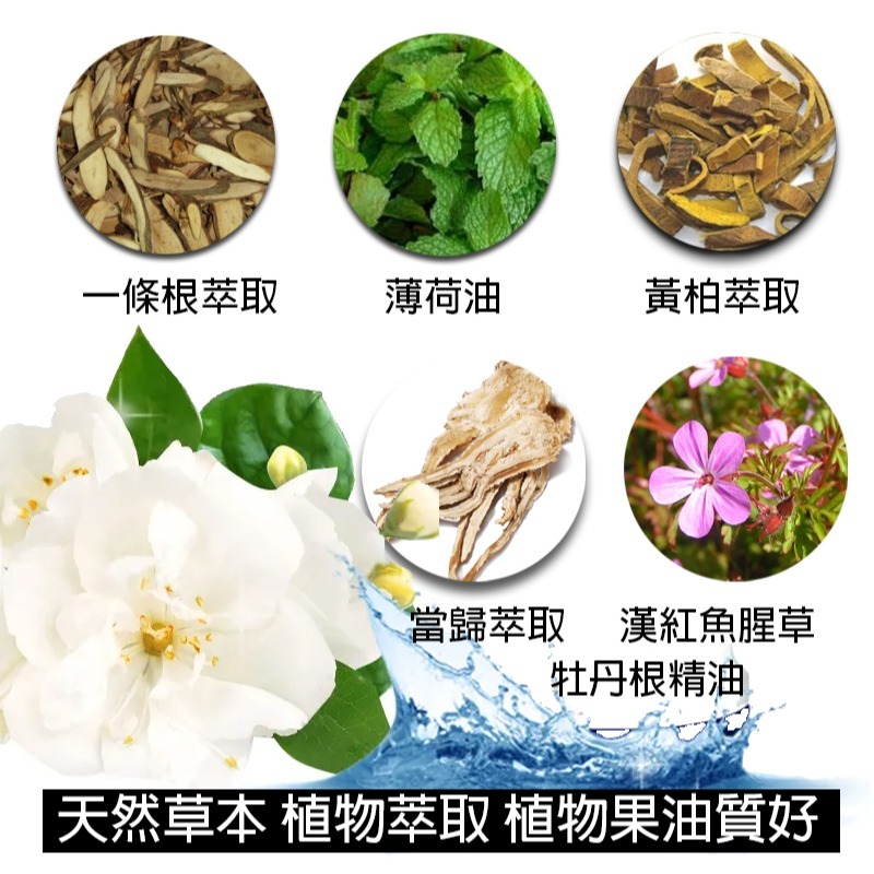 【金牌金門一條根】一條根外用噴劑100ml（先涼後熱）-細節圖3