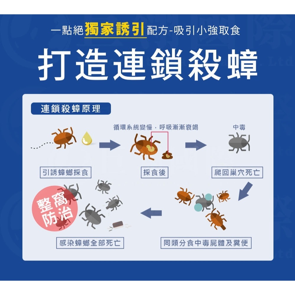 【一點絕】2％除蟑凝膠餌劑30g 效期至:2027/12/19止-細節圖9
