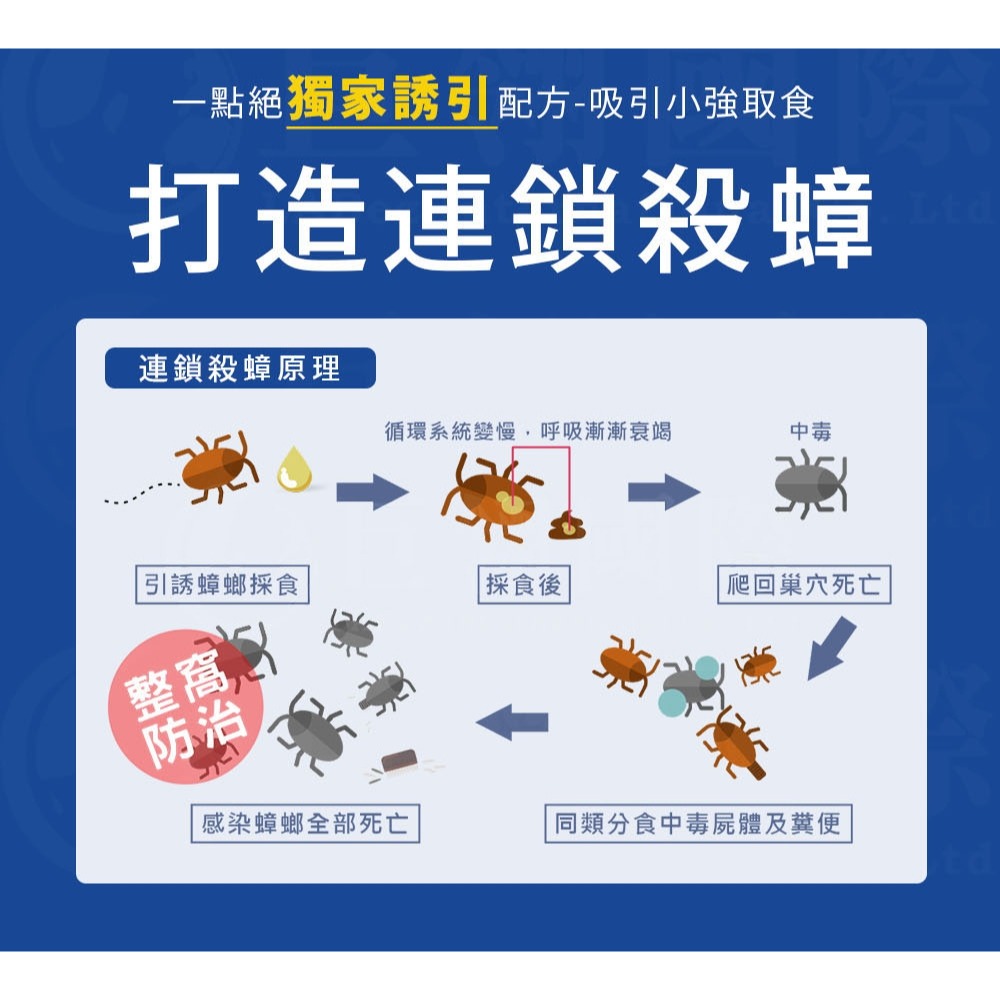 【一點絕】2％除蟑凝膠餌劑30g 效期至:2025/07/01止-細節圖9