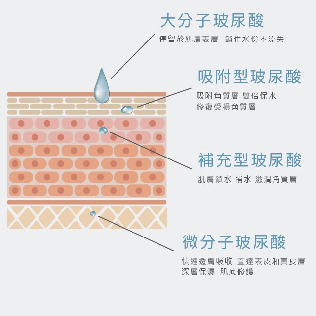 【aquaEveryday】水光24+ 全能凍膜50ml/瓶 / 100ml/瓶-細節圖6