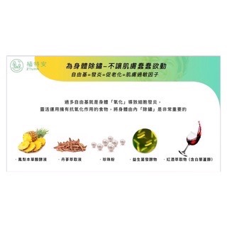 🌱植特安🌱  滋蜜飲-細節圖6