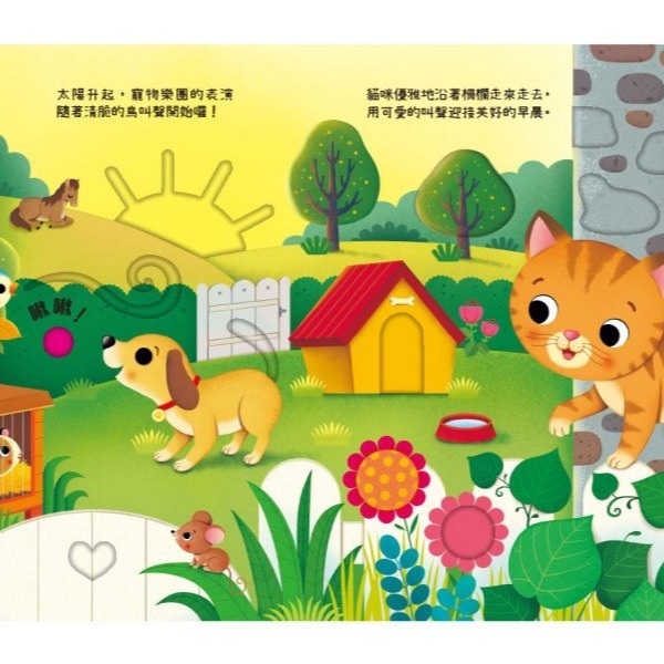 禾流-叮叮咚咚音樂會 交通樂團/嘟嘟樂團/寵物樂團/森林樂團/農場樂團/動物園樂團/啾啾樂團/花園樂團/叢林樂團/海岸樂-細節圖4