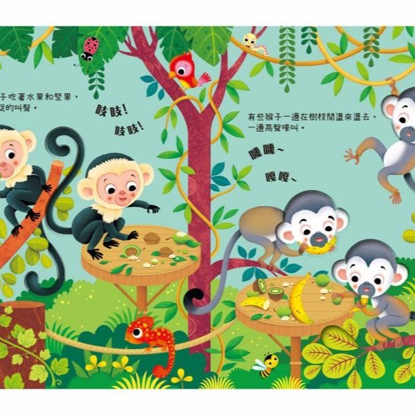 禾流-叮叮咚咚音樂會 交通樂團/嘟嘟樂團/寵物樂團/森林樂團/農場樂團/動物園樂團/啾啾樂團/花園樂團/叢林樂團/海岸樂-細節圖8