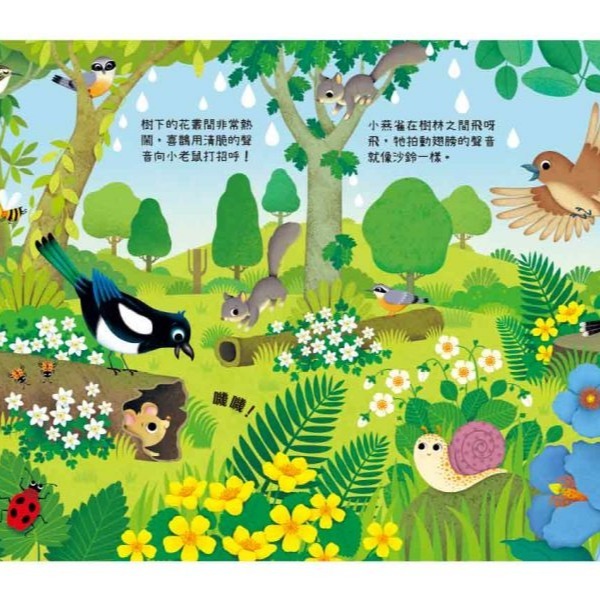 禾流-叮叮咚咚音樂會 交通樂團/嘟嘟樂團/寵物樂團/森林樂團/農場樂團/動物園樂團/啾啾樂團/花園樂團/叢林樂團/海岸樂-細節圖9