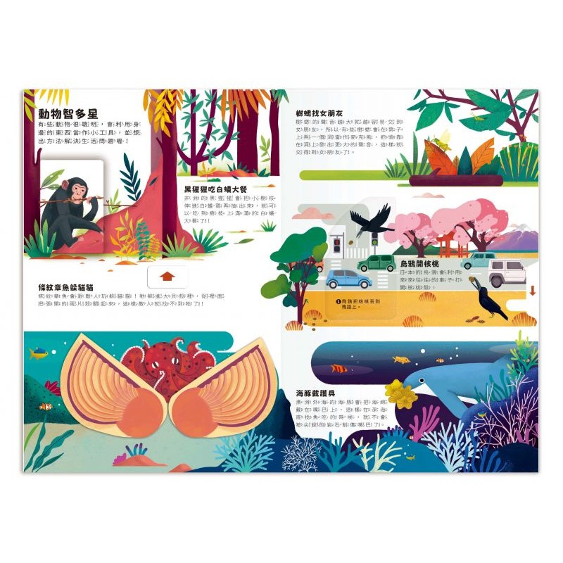 禾流-小小知識家動手大發現-動物/汽車/史前生活/冰雪動物/火山/太空人AMAZING！-細節圖3