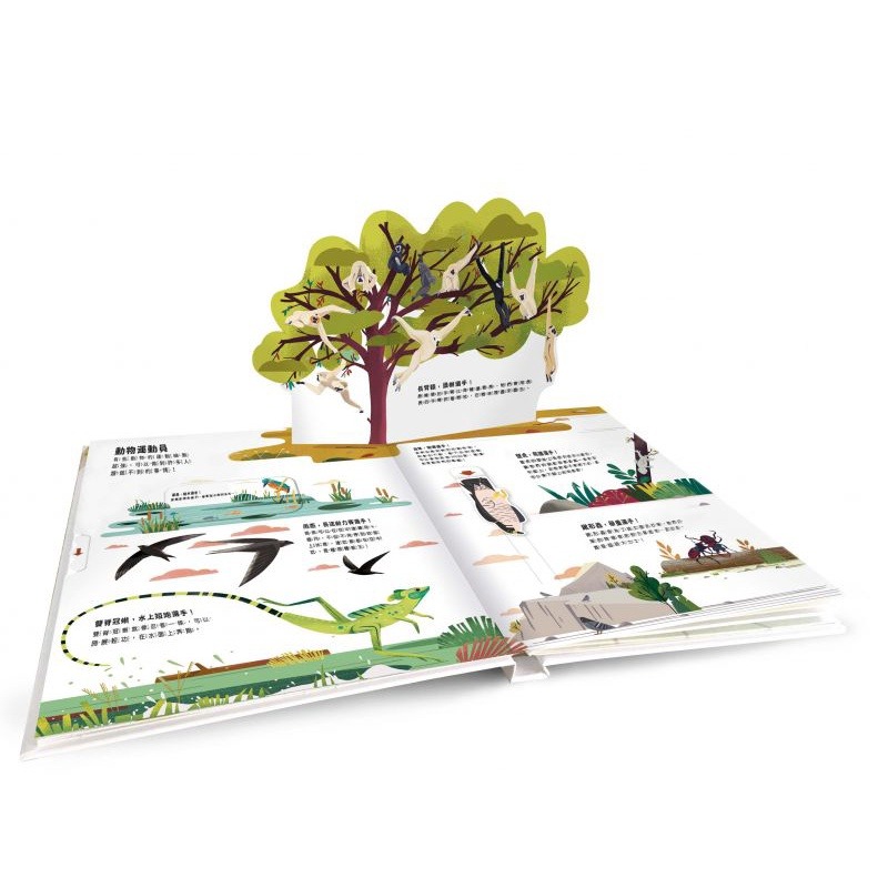 禾流-小小知識家動手大發現-動物/汽車/史前生活/冰雪動物/火山/太空人AMAZING！-細節圖6