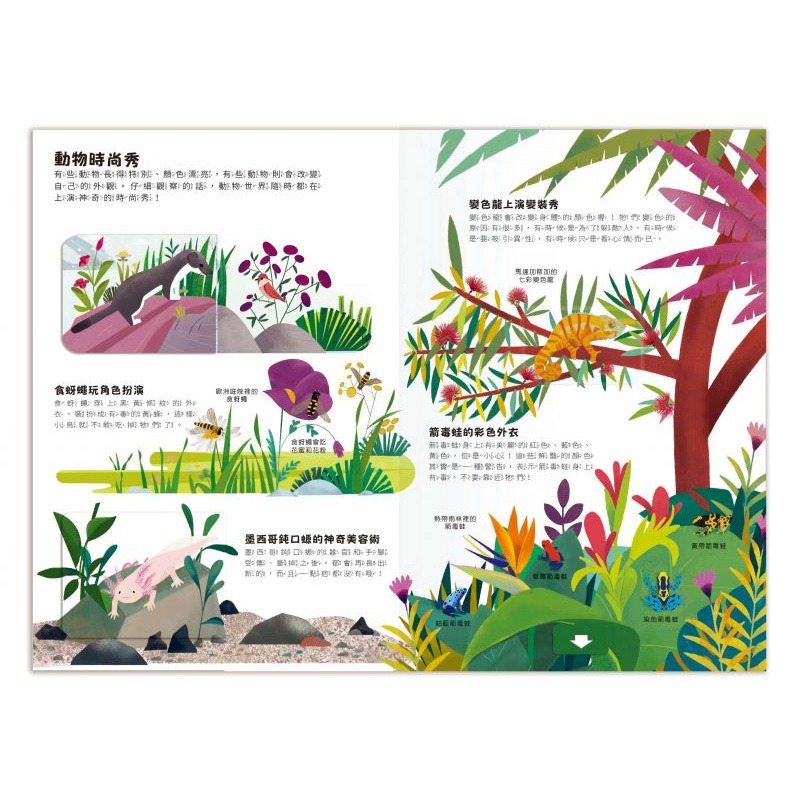 禾流-小小知識家動手大發現-動物/汽車/史前生活/冰雪動物/火山/太空人AMAZING！-細節圖9