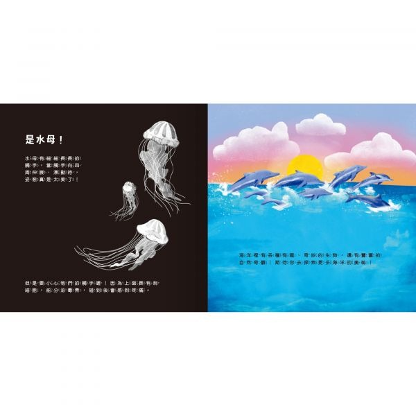 禾流-登登登！透光show-照照人體X光/海洋生物來囉-細節圖4