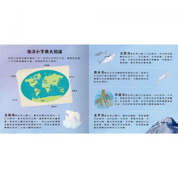 禾流-登登登！透光show-照照人體X光/海洋生物來囉-細節圖5