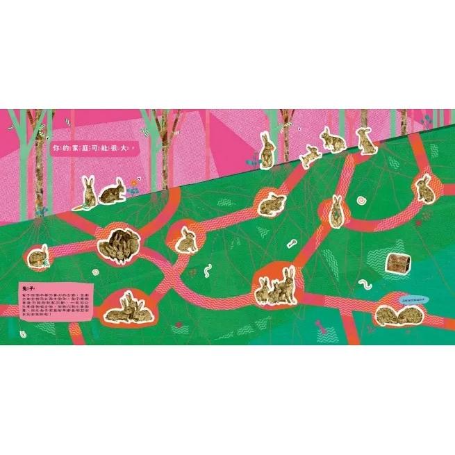 時報/我們都是一家人：大自然裡的獨特家庭-細節圖5