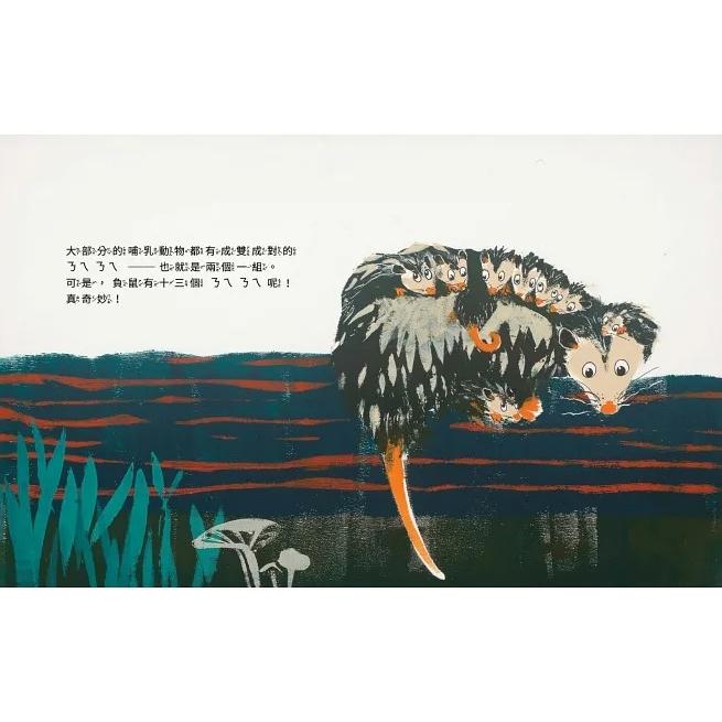 時報/  鳥有ㄋㄟㄋㄟ嗎？-細節圖3