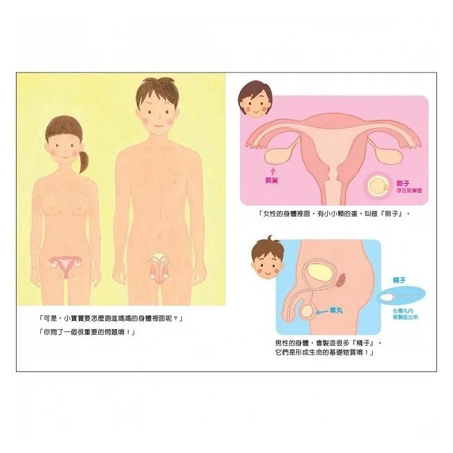 維京/月經的故事‧生命的起源-細節圖2