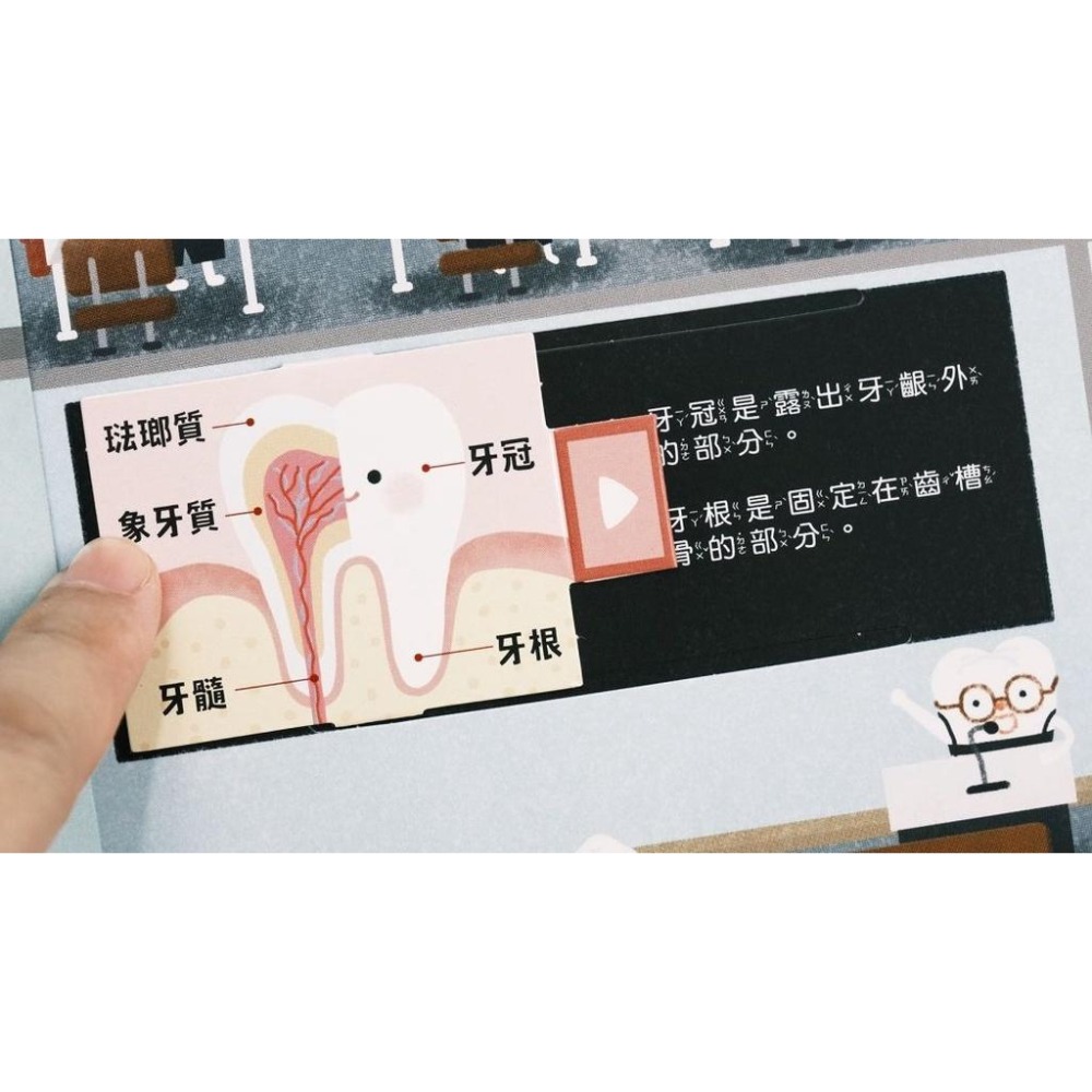 禾流 人體知識立體書—歡迎光臨牙齒王國！-細節圖2
