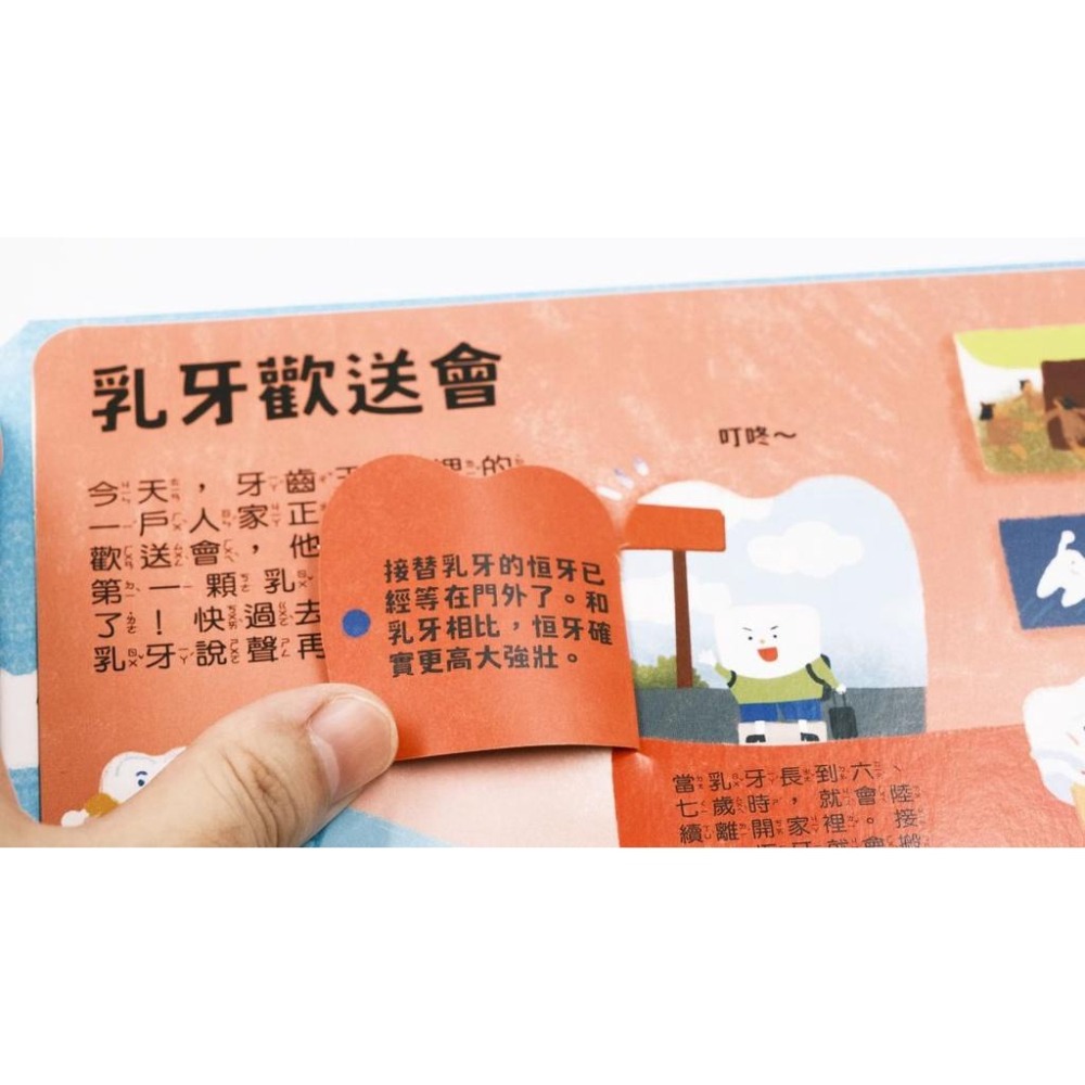 禾流 人體知識立體書—歡迎光臨牙齒王國！-細節圖5