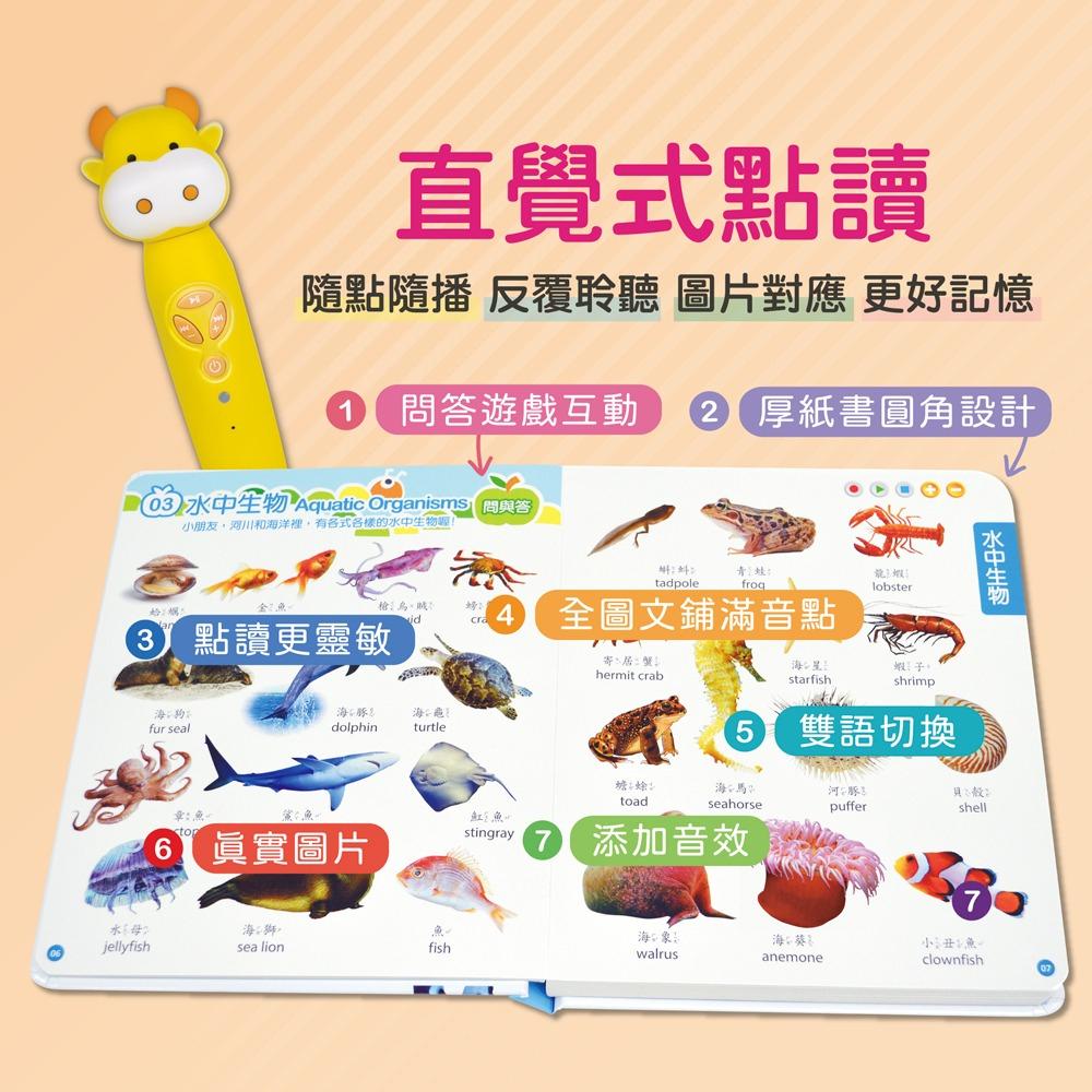 小牛津/【小牛津】50件組-啟蒙DIY自製教材百寶盒~把家裡的繪本都變成點讀書+躲貓貓-細節圖7