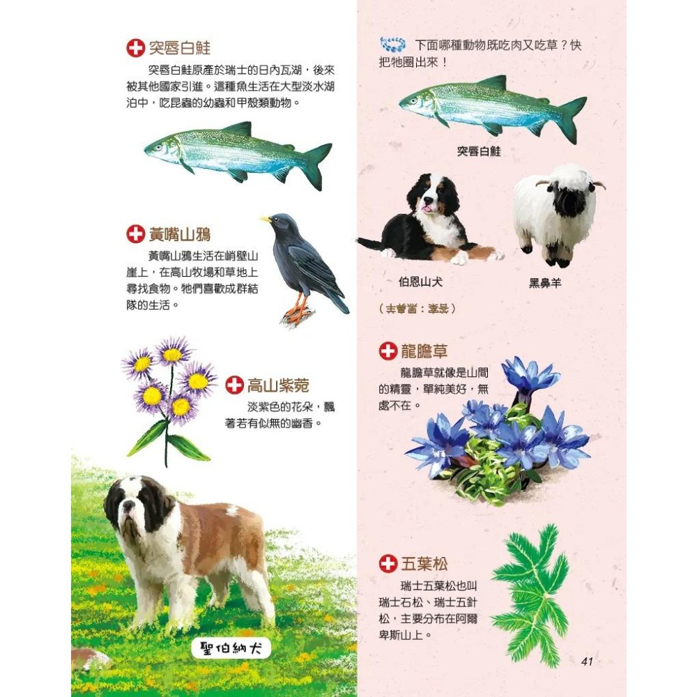 螢火蟲/繞著地球走透透（全套10冊）-細節圖7