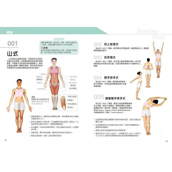 和平/科學健身解剖：501式瑜伽伸展訓練-細節圖4