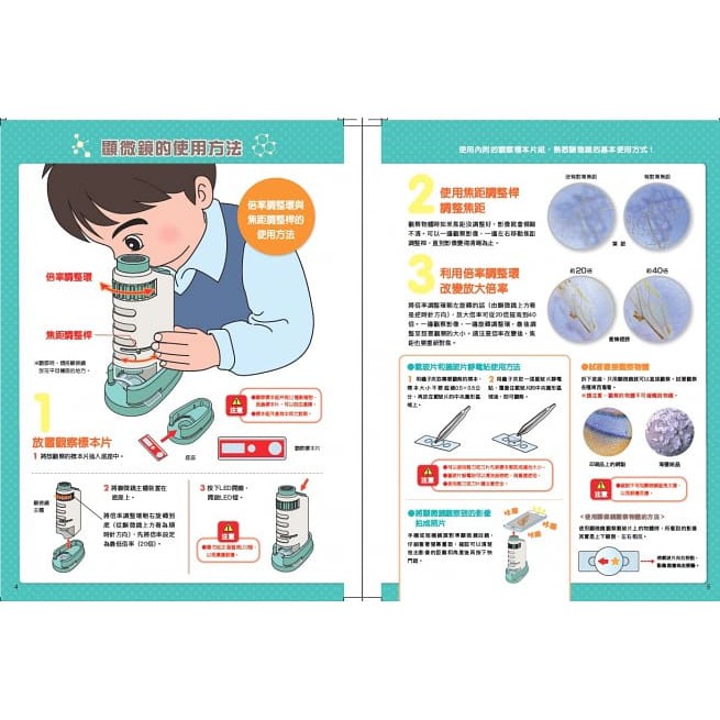 親子天下/小孩的科學STEAM系列06：生物調查顯微鏡（可隨身攜帶、內附12片標本觀察片）-細節圖2
